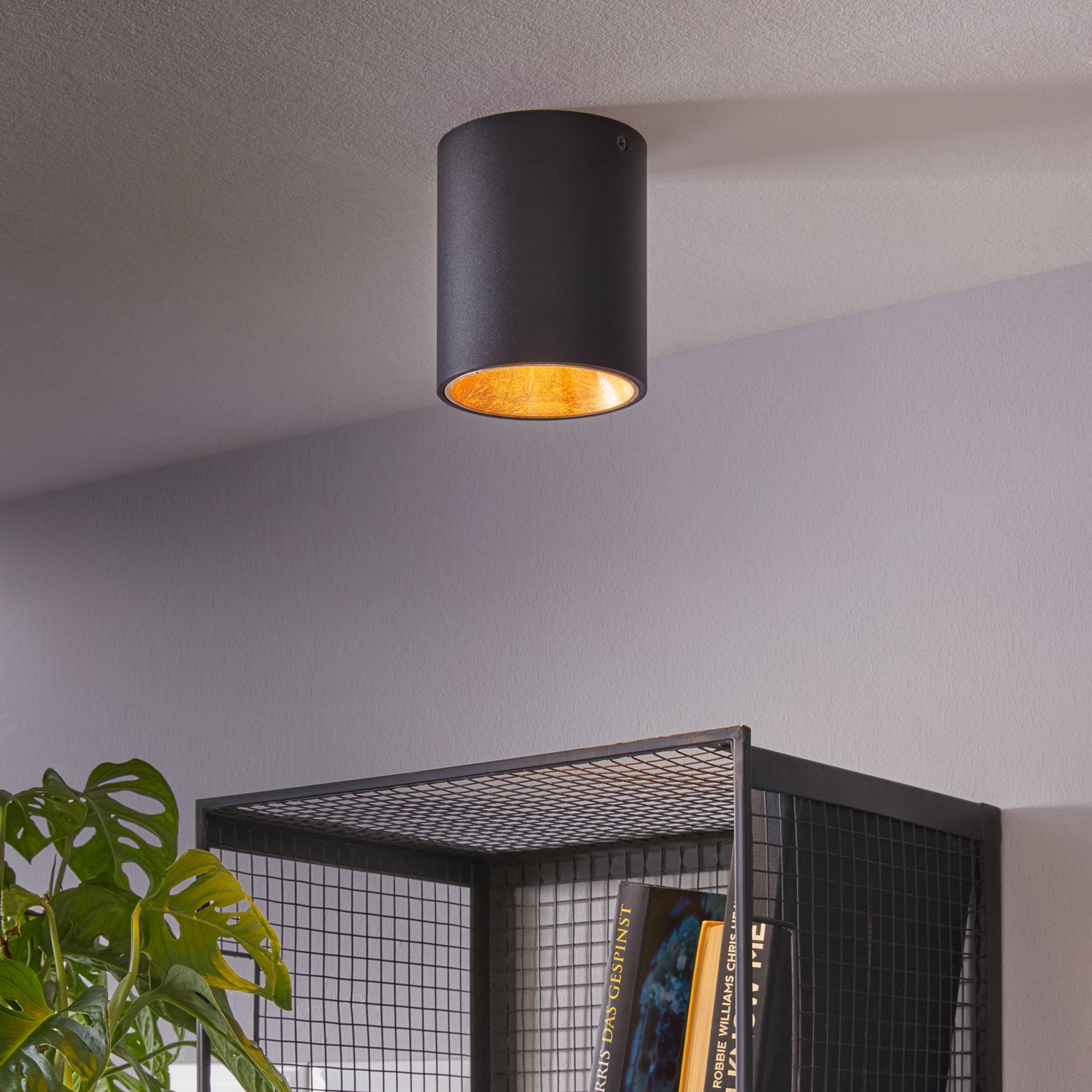 LED stropní svítidlo Polasso, kulaté, černá-zlatá