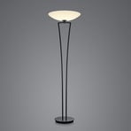 BANKAMP Lady LED uplighter floor lamp, ZigBee, black