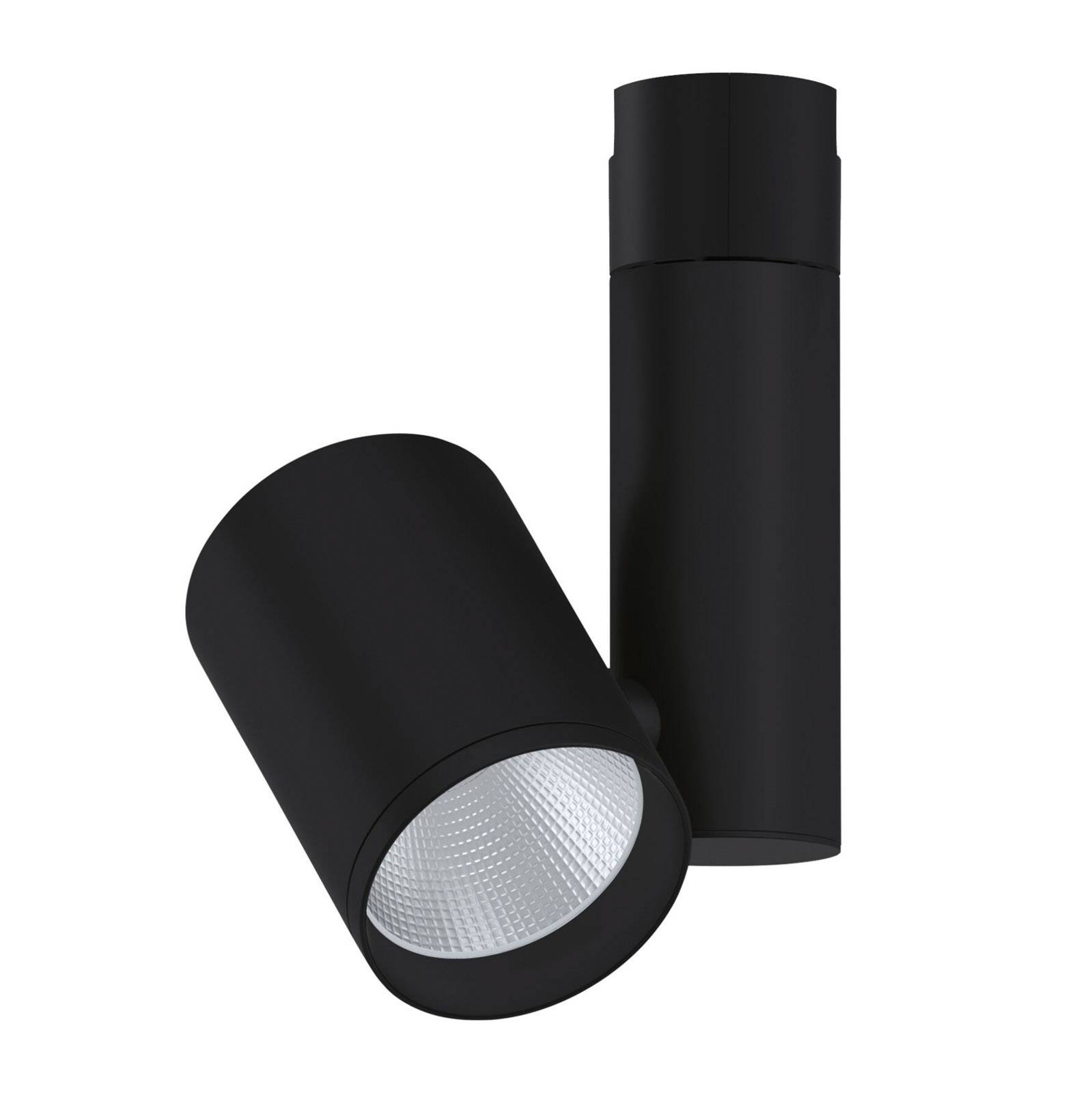 Paulmann Zeuz URail spot 3,000 K 15° matt black, for Hallway, metal, 38 W, L: 26 cm, W: 9.8 cm, H: 17.6 cm
