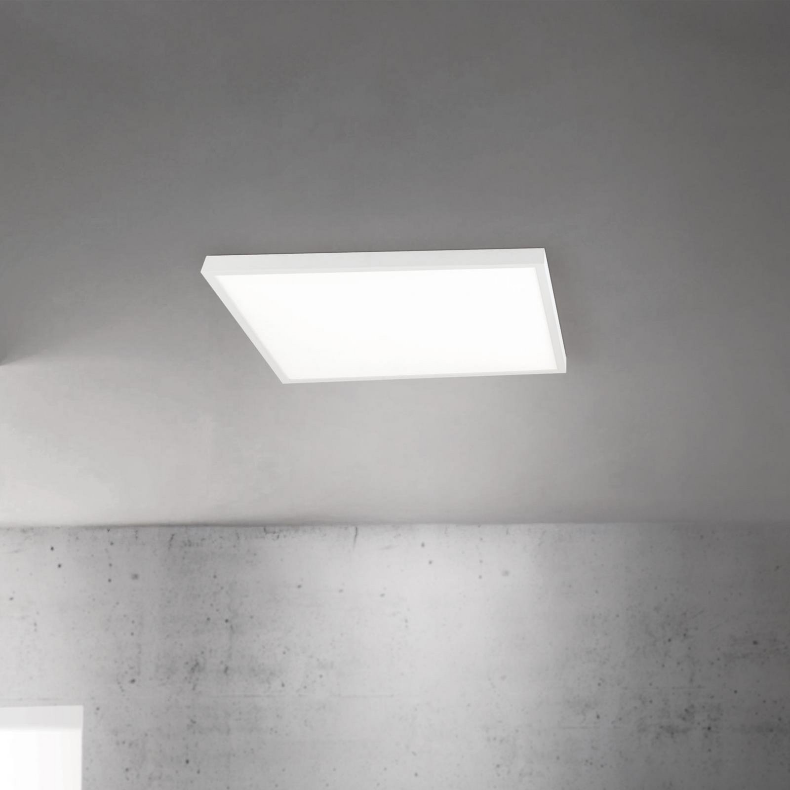 LED ceiling lamp Disc, white, length 60 cm, CCT, metal