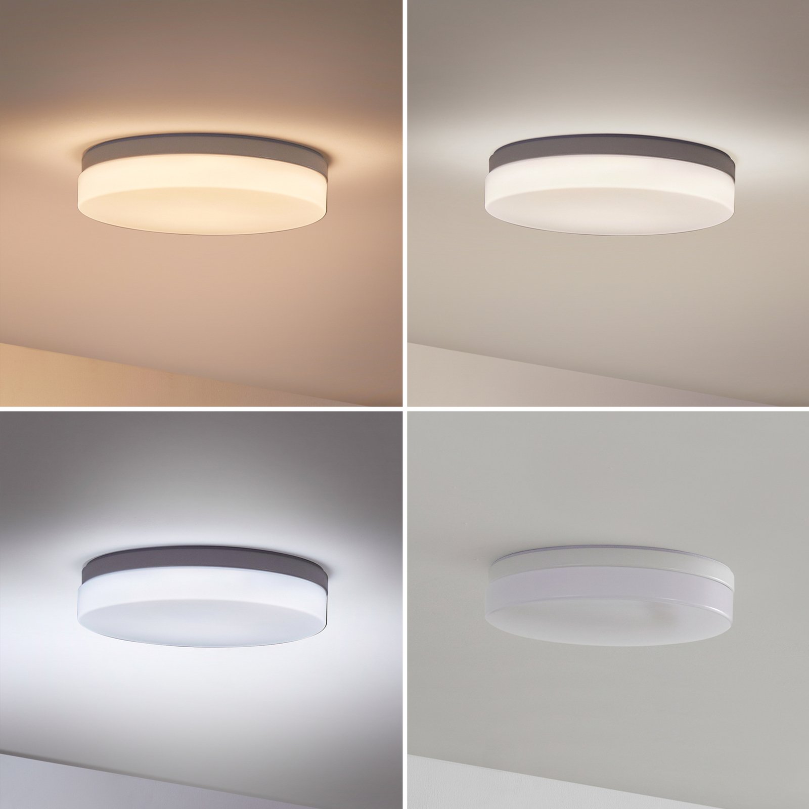 Prios Wynion LED-loftslampe CCT DIP-kontakt 30 cm