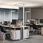LED-Büro-Stehlampe Somidia, Dimmer, Sensor, weiß