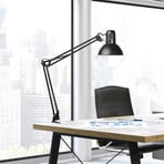 MAULstudy desk lamp with clamp, black