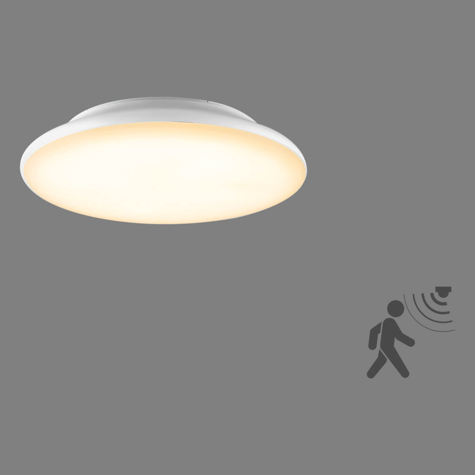 EVN Catino LED-loftslampe, sensor, 25 cm