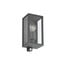 Anthracite / Transparent