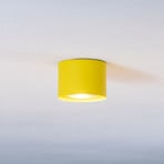 Chloe downlight rigid, yellow