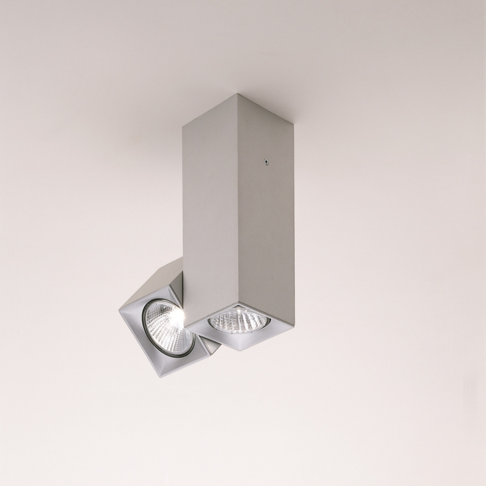 Milan Dau Spot ceiling light 2-bulb adjustable