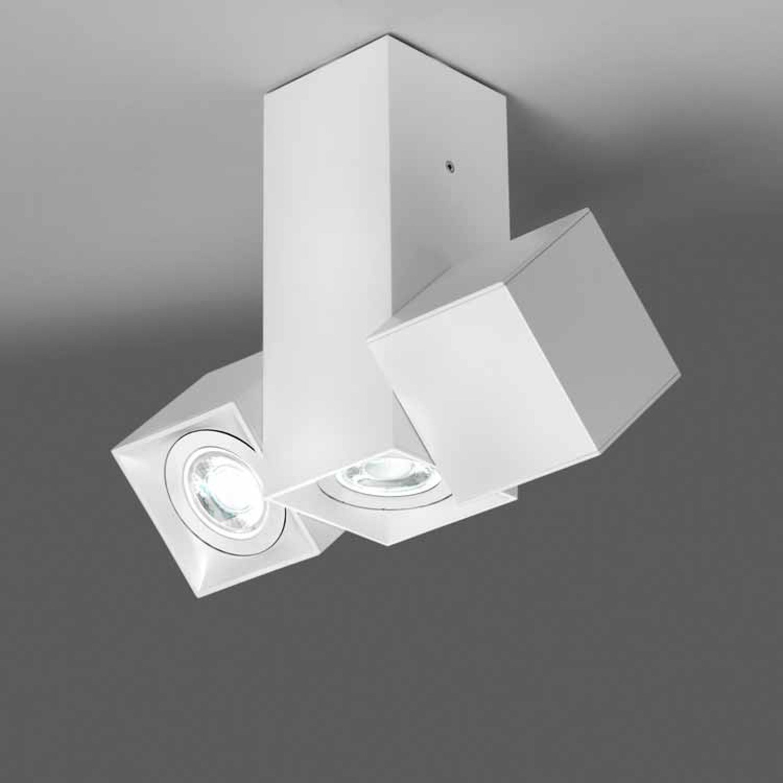 Milan Dau Spot stropna svetilka s tremi lučmi bele barve