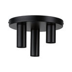 Paulmann Skogen ceiling light black 3-bulb