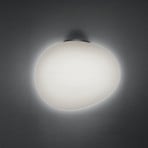 Foscarini Gregg grande semi 2 wall lamp, graphite