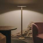 LEDS-C4 LED floor lamp H, gold-coloured matt, switchable, steel