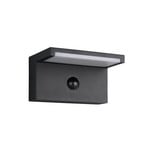 LED āra sienas lampa Ravi, antracīta krāsa, platums 18 cm, sensors, IP54