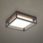 LED-Außendeckenleuchte Witham IP54, CCT, anthrazit