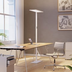 Regent Lighting Lightpad, senzor 1fl levý bílý