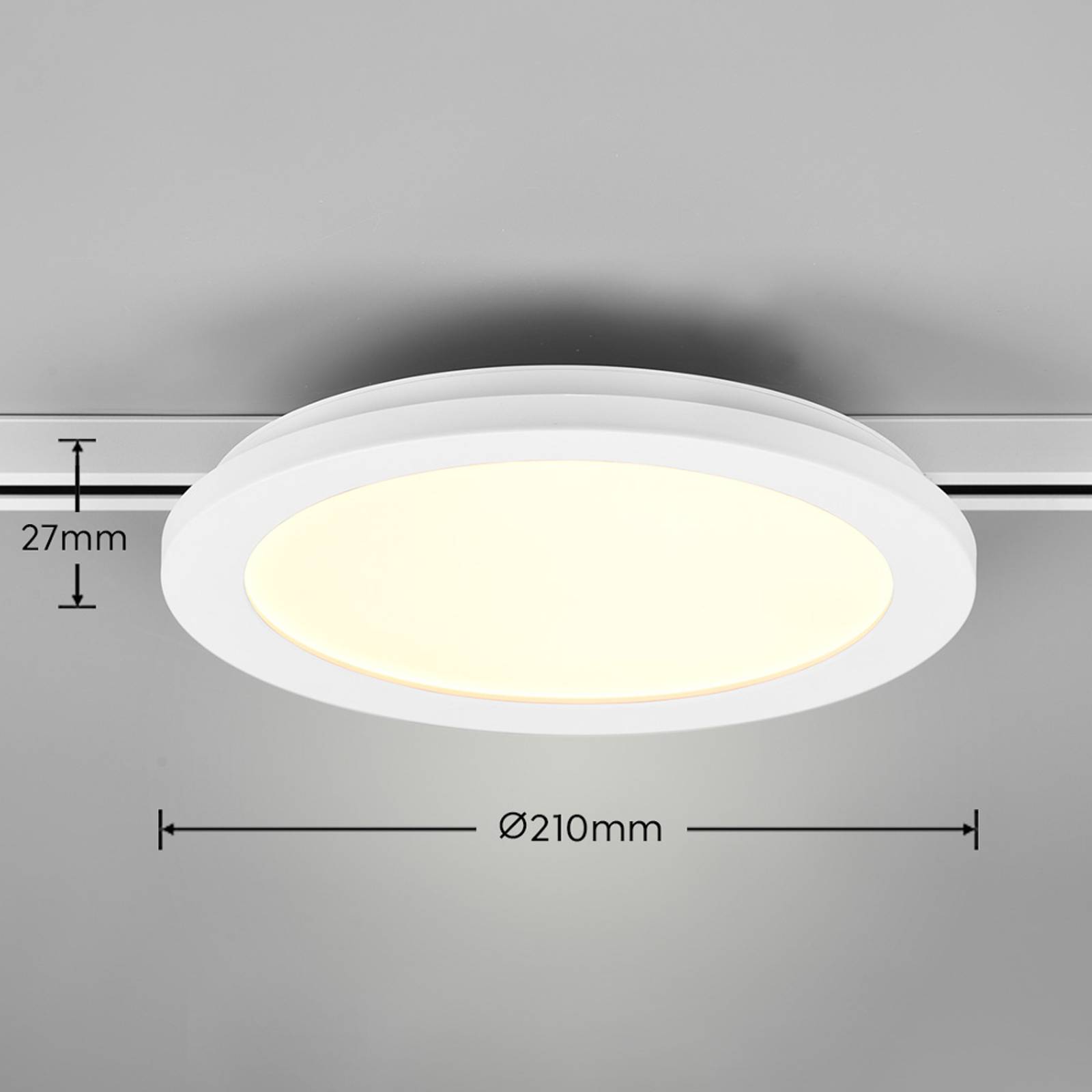 Trio Lighting LED stropní svítidlo Camillus DUOline, Ø 26 cm, bílé