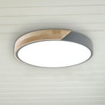 LED stropna svetilka Borneo, hrast, kovina, CCT, daljinski upravljalnik