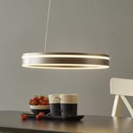 Paul Neuhaus Q-VITO LED hanging light