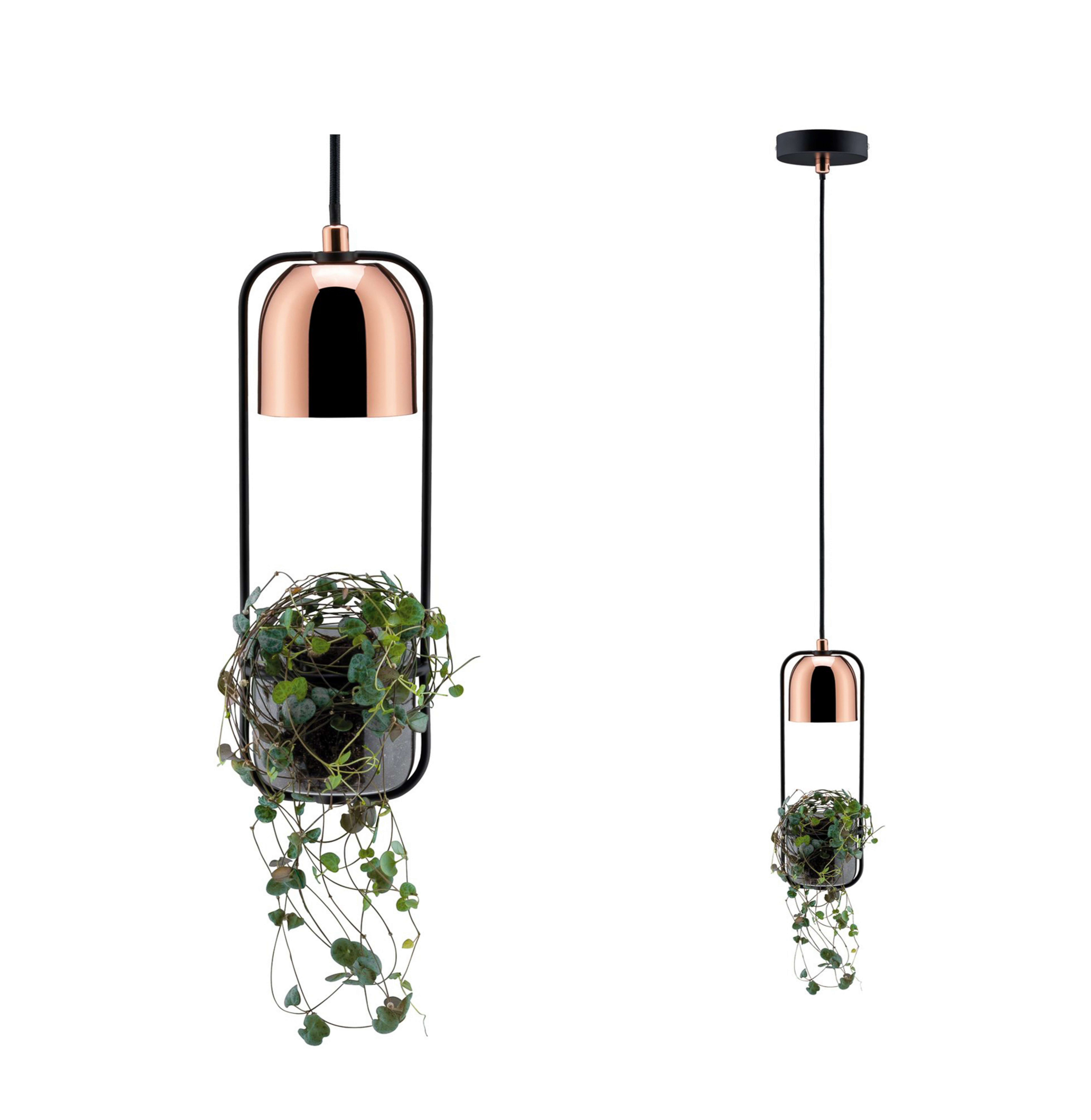 Paulmann Fanja hanging lamp with a plant pot