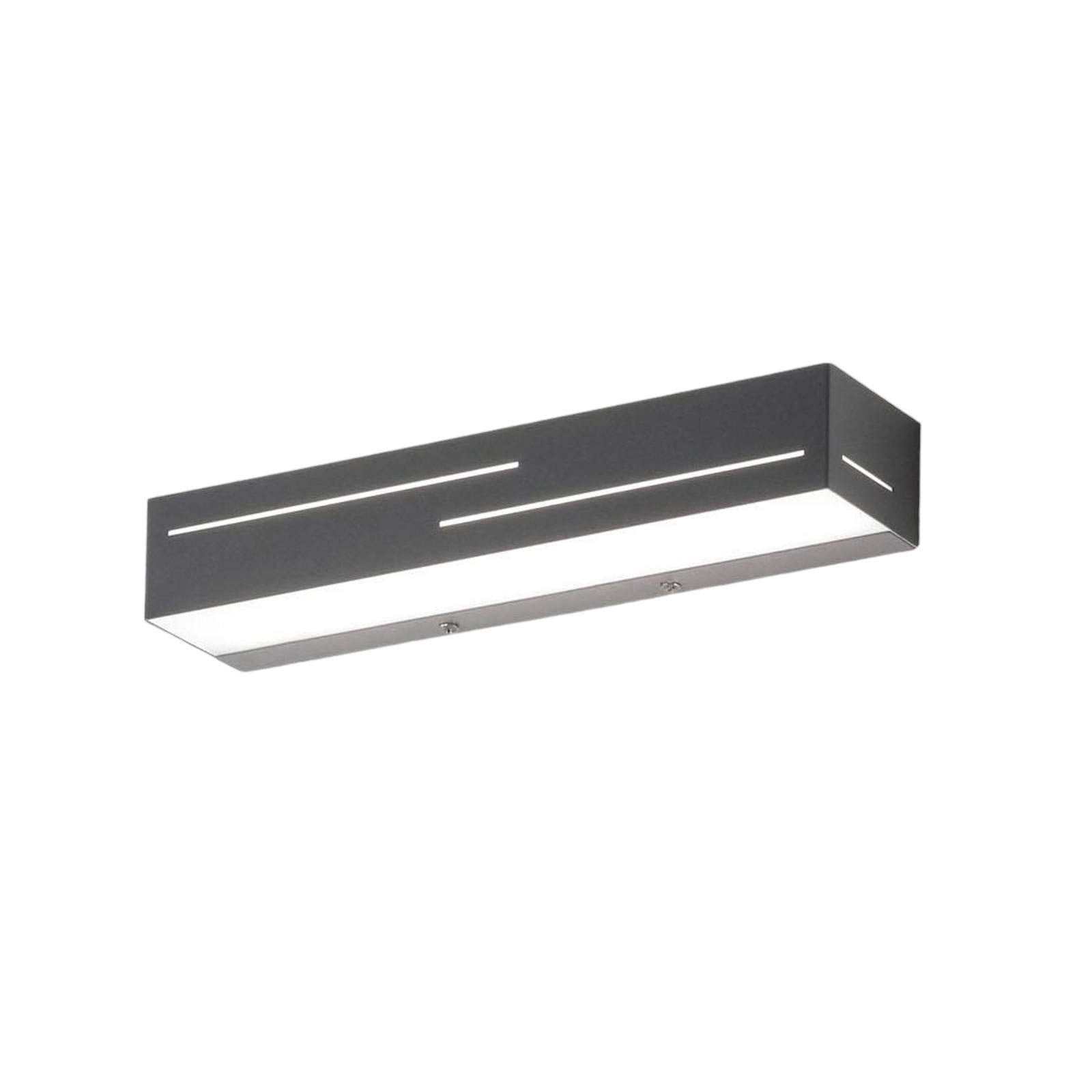 LED-Wandlampe Banny, anthrazit, Breite 31cm, Up- & Downlight