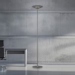 LED-Stehleuchte PURE Moon, platin, Rauchglas, 180 cm