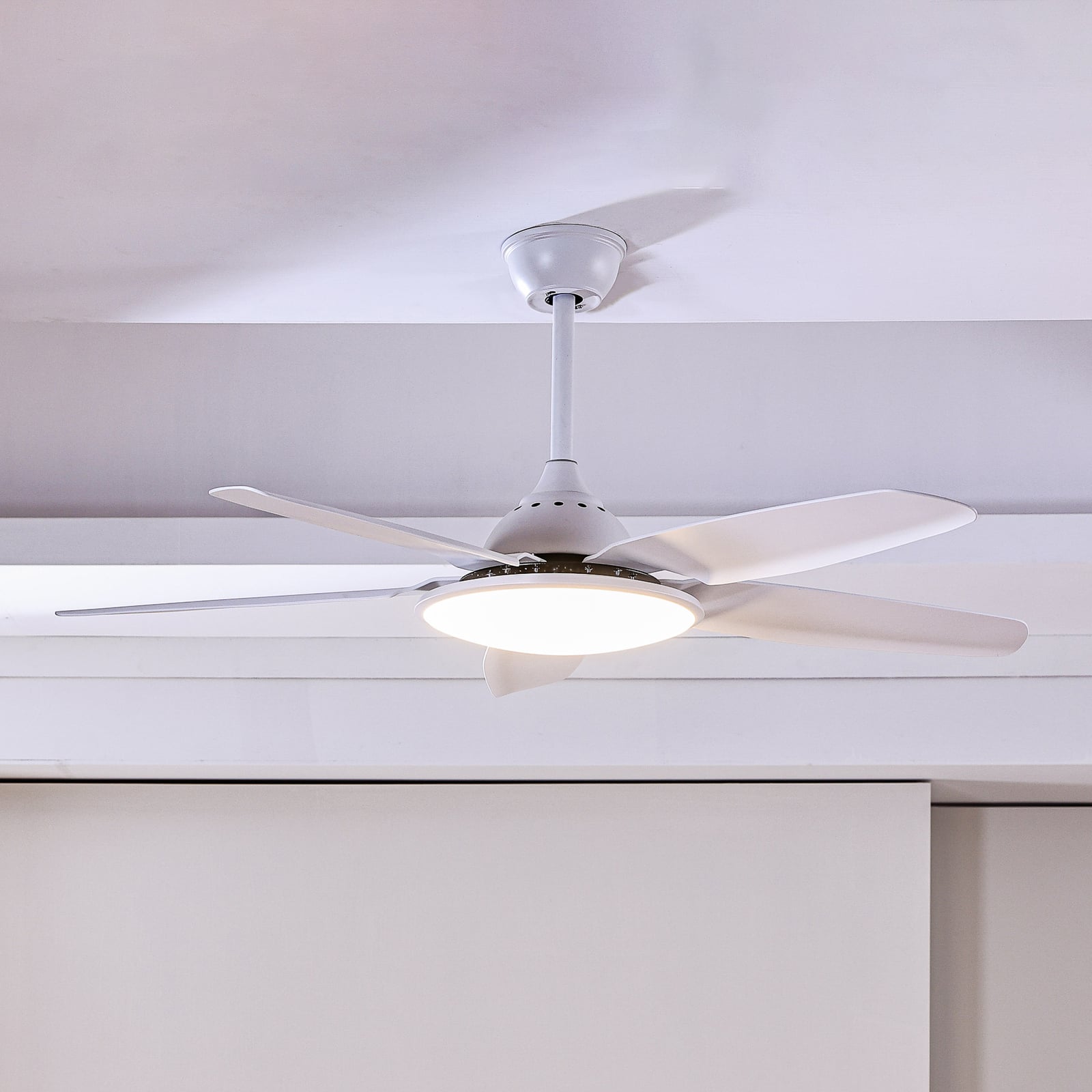 Ventilateur de plafond LED Divian, blanc, courant continu, silencieux, CCT -