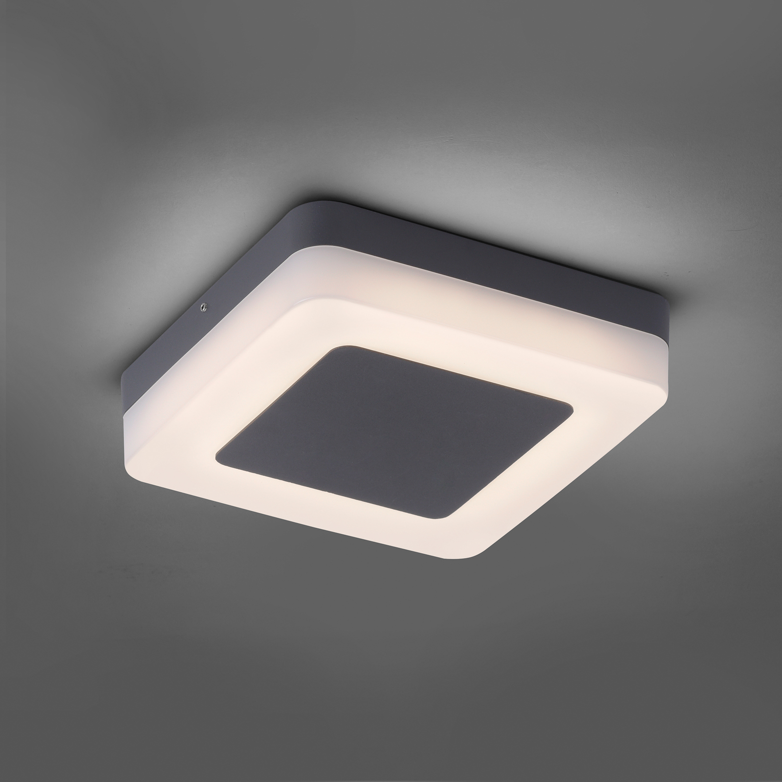 Paul Neuhaus Fabian LED plafondlamp IP54 hoekig