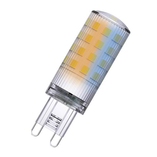 LEDVANCE SMART+ WiFi Ampoule LED G9, 3,5 W, CCT à intensité variable