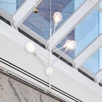 Modo Luce Baobab hanglamp 6-lamps