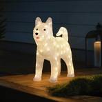 LED ukrasna figura Husky clear IP44 visine 43 cm