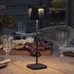 Nice LED decorative light with USB charging port