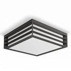 myGarden Moonshine Deckenleuchte anthrazit - Philips