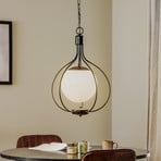 Remy 250 hanging light, globe glass lampshade