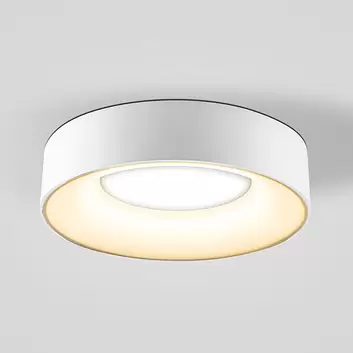 Paulmann Leonis LED-Deckenleuchte 3.000 K, Ø 28 cm
