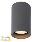 Dime LED ceiling light Delto dimmable to warm, round, grey