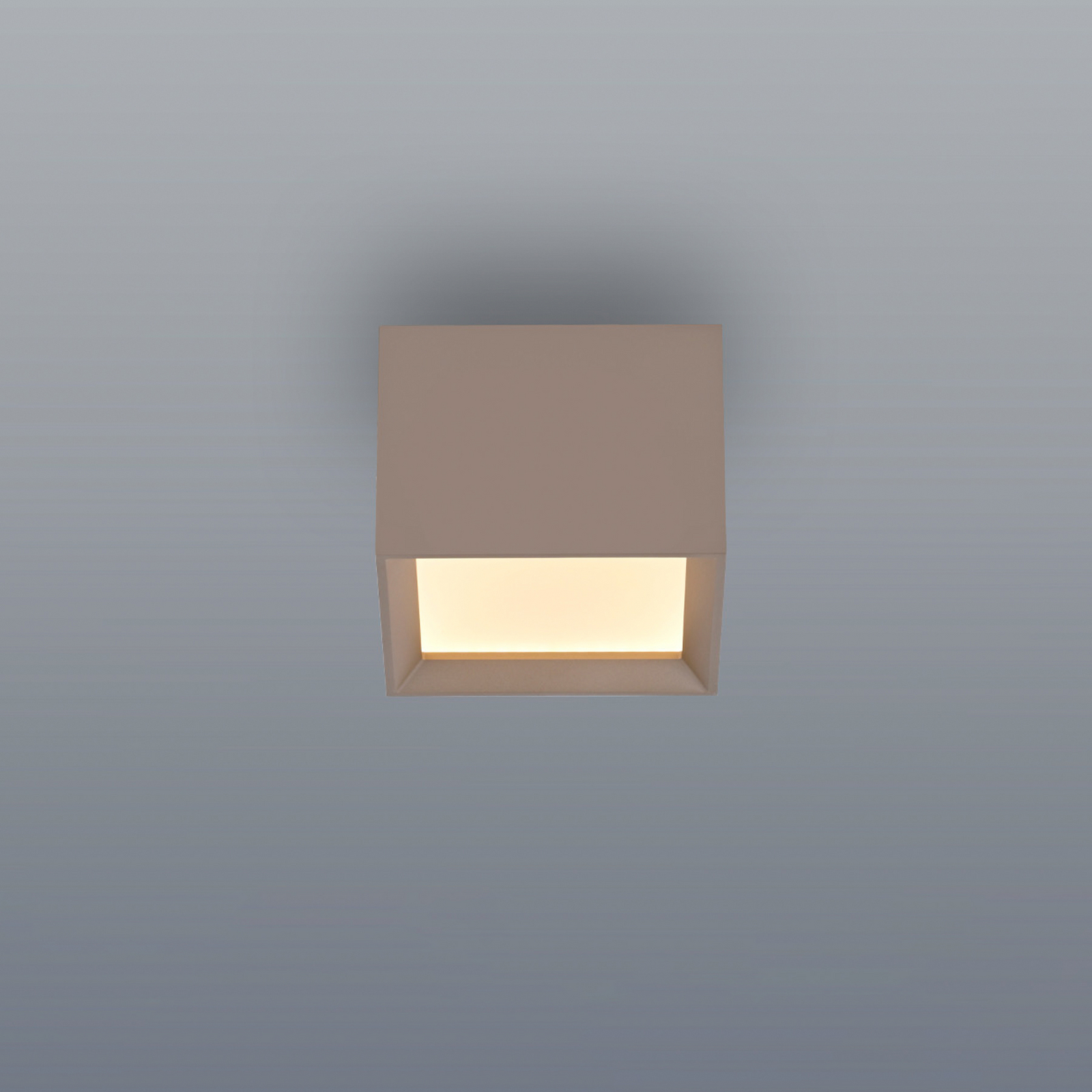 LED-stropna svetilka PURE Manhatten, bronasta, 1-žarilna, CCT