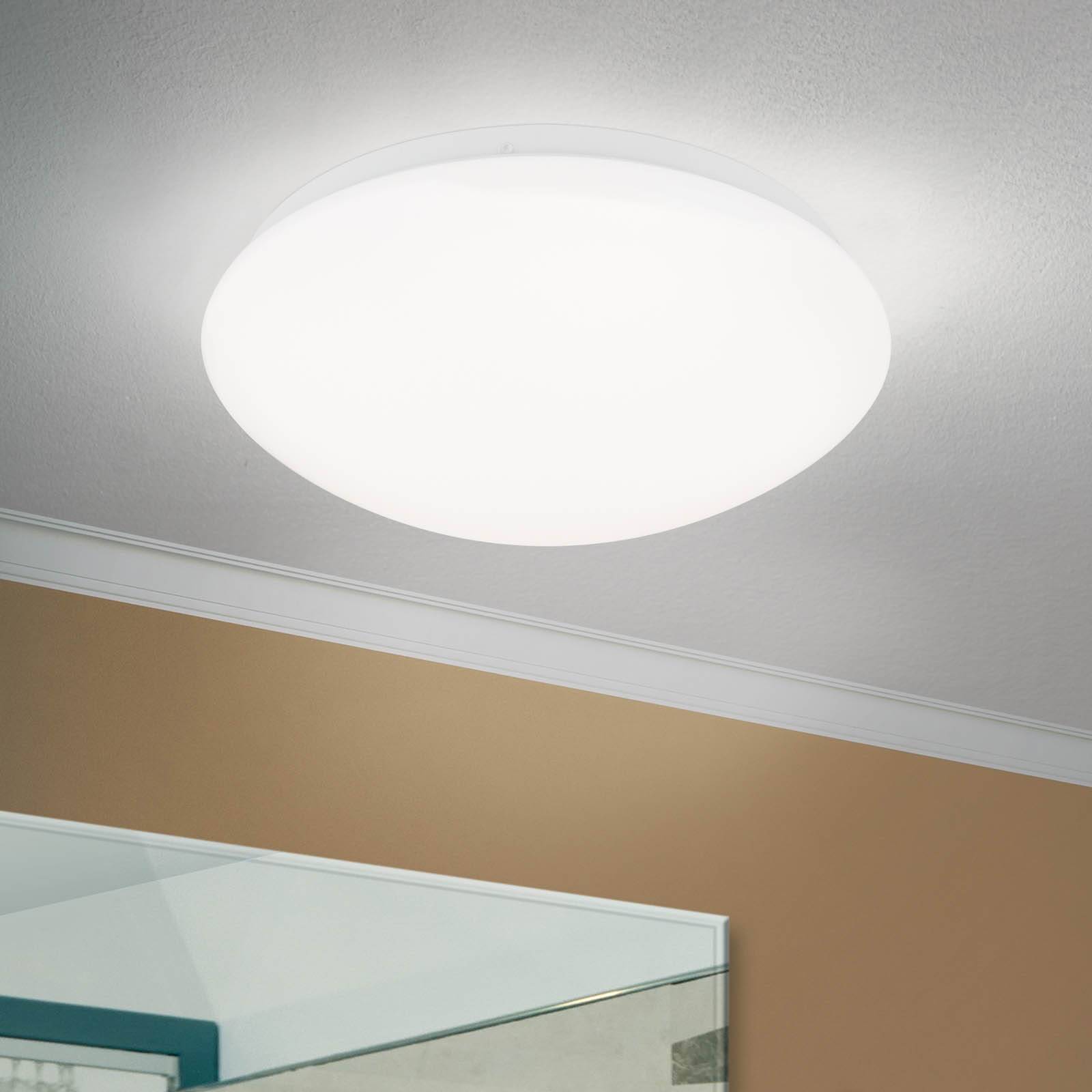 E-shop LED stropné svietidlo Nedo zakrivené, Ø 25 cm
