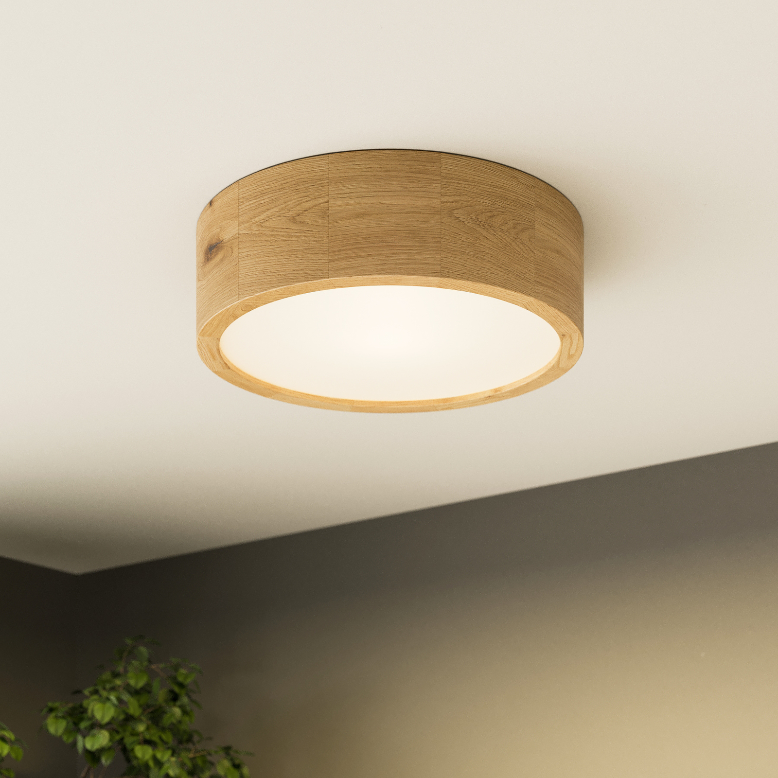 Kerio ceiling lamp, Ø 27 cm, natural oak