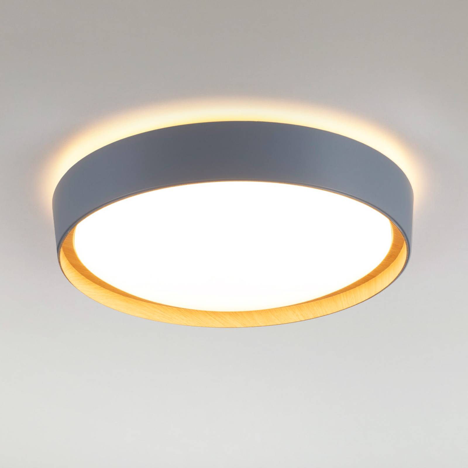 Zdjęcia - Żyrandol / lampa JUST LIGHT. Lampa sufitowa LED Emilia, trzystopniowo ściemniana, szara 