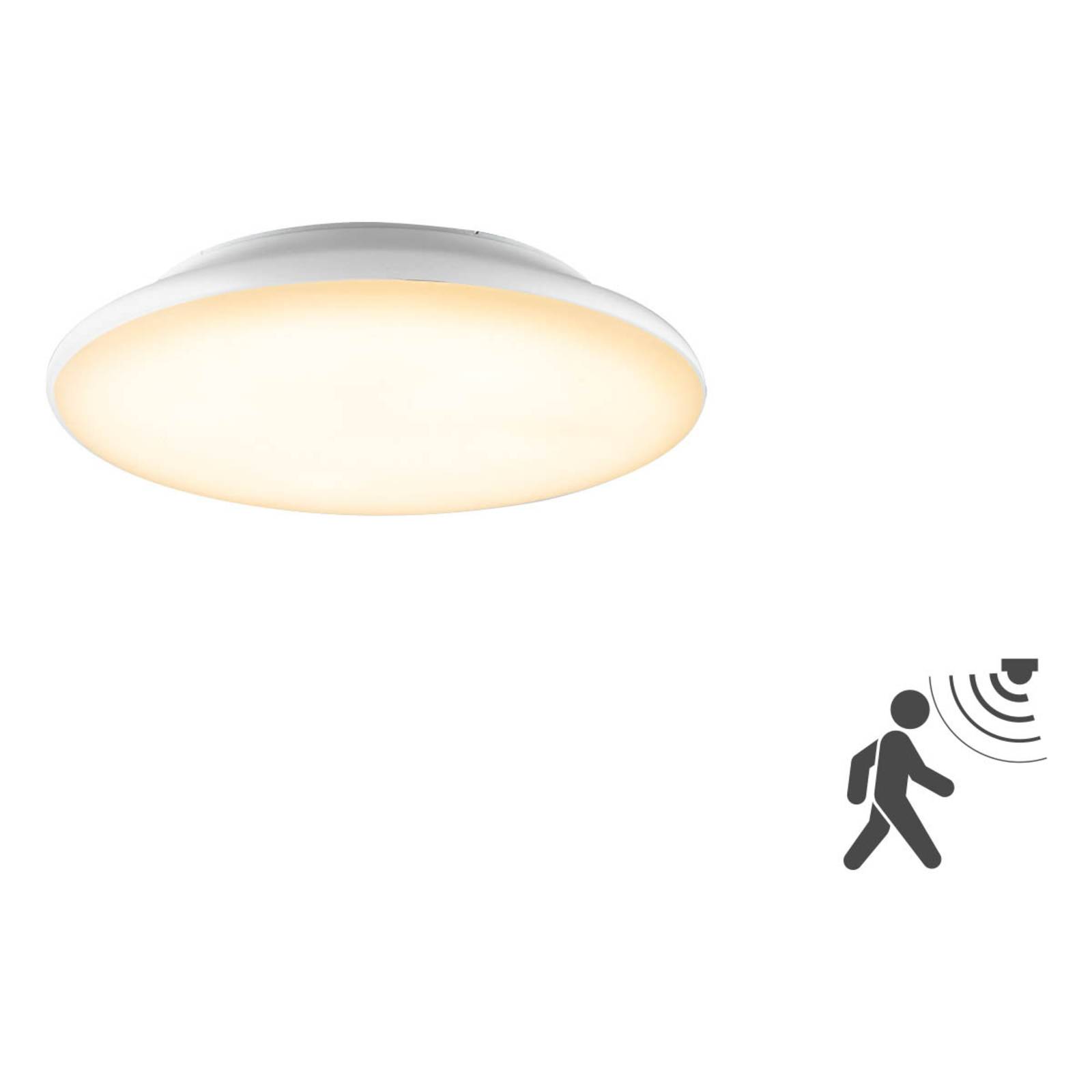 EVN Catino -LED-kattovalaisin, spottivalaisin, anturi, 25 cm - moderni kattolamppu - kattovalaisin toimisto - toimistovalaisin - lamppu Kylpyhuone valkoinen