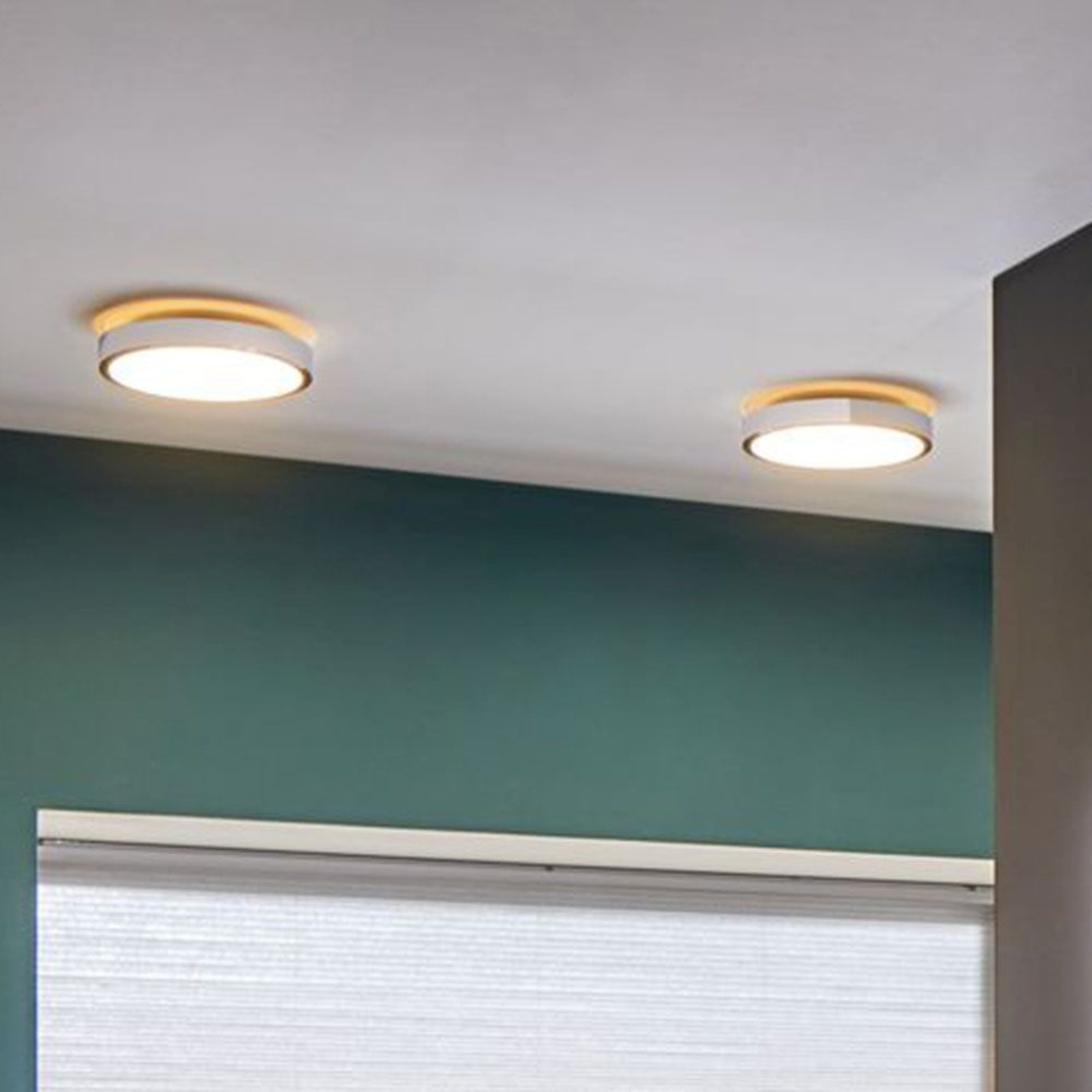 Paulmann Aviar LED ceiling light, IP44, dimmable