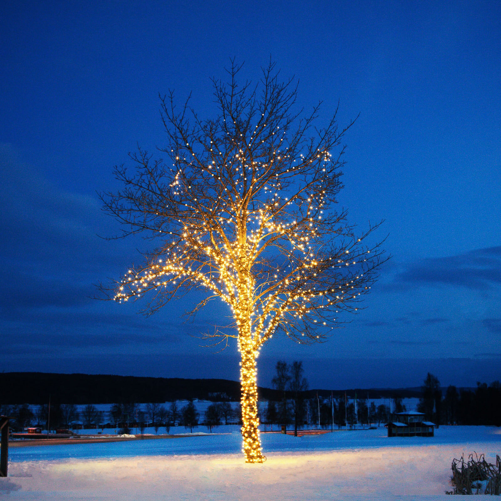 Chrissline Extra lyskæde, 50 LED'er, 2.400 K Chrissline extra warm Markslöjd billede