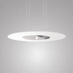 Cini&Nils Passepartout55 LED pendant light Casambi