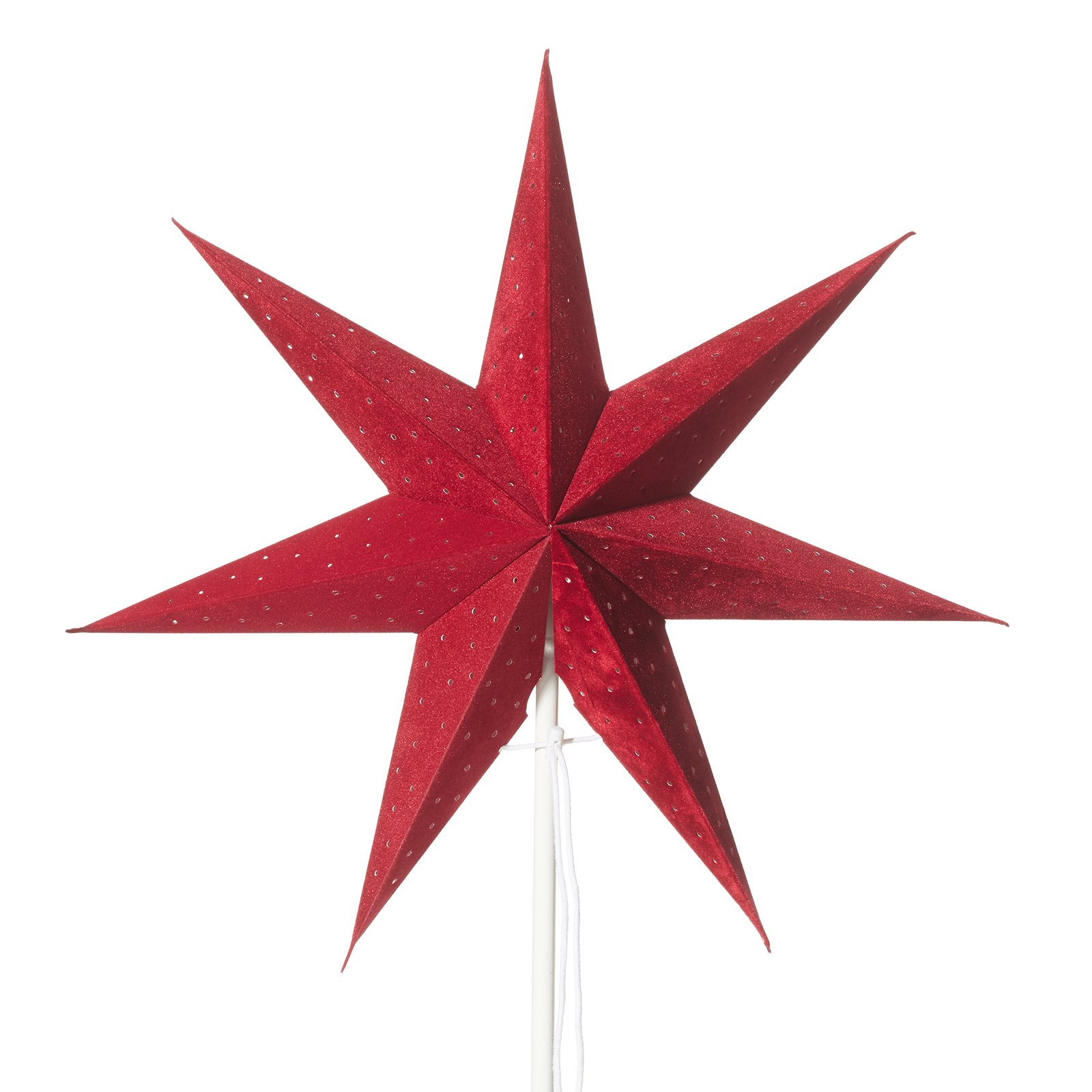 Rød s.stjerne Clara, fløyel-optikk, fot hvit