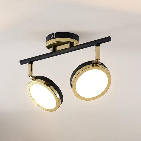 Lindby Alsani LED-Deckenstrahler, 2-flammig
