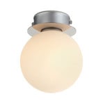 Mini bathroom ceiling light