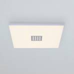 Paul Neuhaus Pure-Neo LED stropní světlo 45x45cm