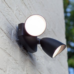 LED-Außenwandstrahler SHRIMP, schwarz, 20 W, 2-flg., IP54