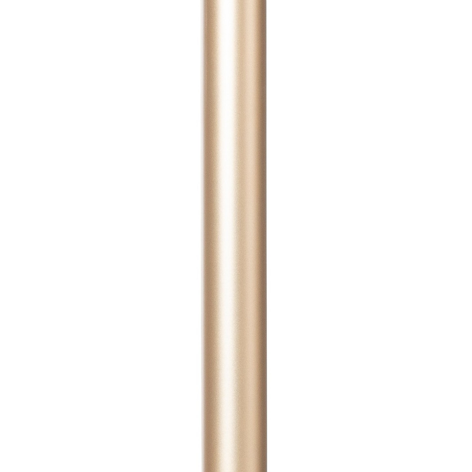 Suspension LED Rulo, dorée, Ø 3,2 cm, acier, 3000 K