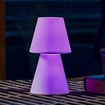 Newgarden Lola 20 LED-es asztali lámpa elemmel működtetve
