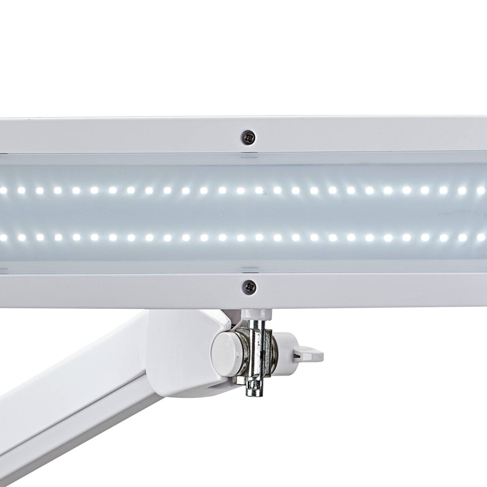 Levně LED pracovní lampa MAULintro se svorkou